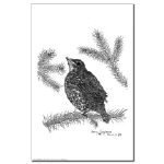 Robin Pen and Ink 11 X 17 Poster/Print by NANCE